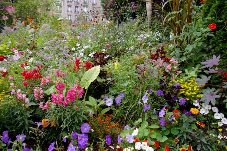 Fonds d'cran Nature Fleurs la coule verte a Paris