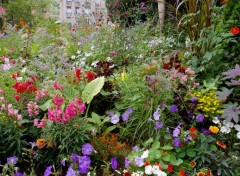  Nature la coule verte a Paris