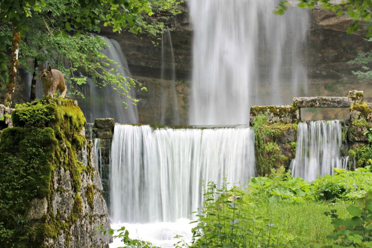 Fonds d'cran Nature Cascades - Chutes cascades du hérisson : le saut girard