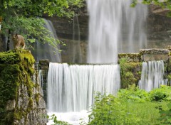  Nature cascades du hérisson : le saut girard