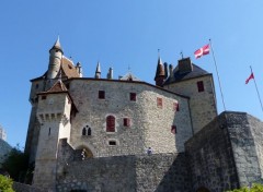  Constructions and architecture Château de Menthon-Saint-Bernard 02