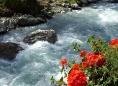  Nature Rivière en Italie