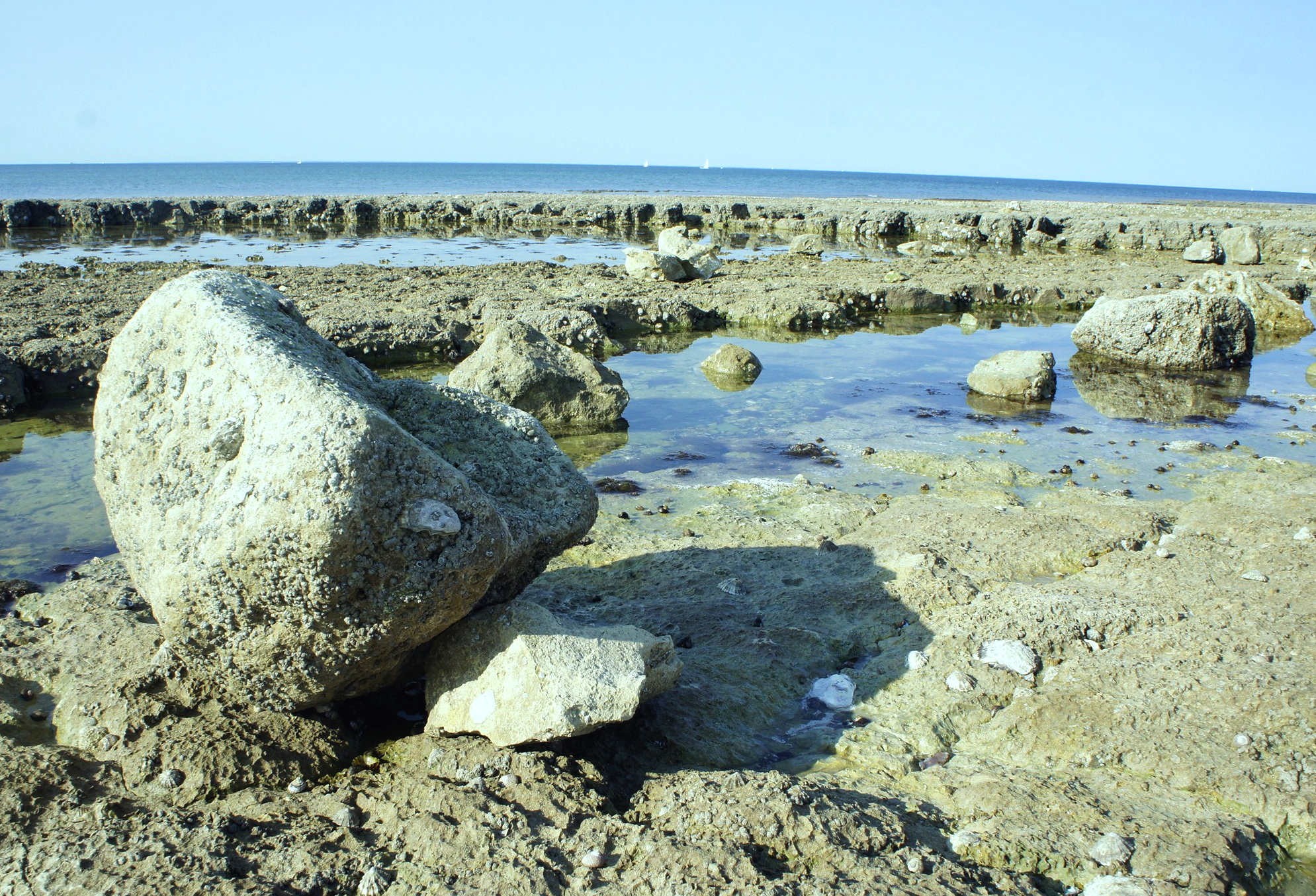 Fonds d'cran Nature Mers - Océans - Plages La Rochelle 