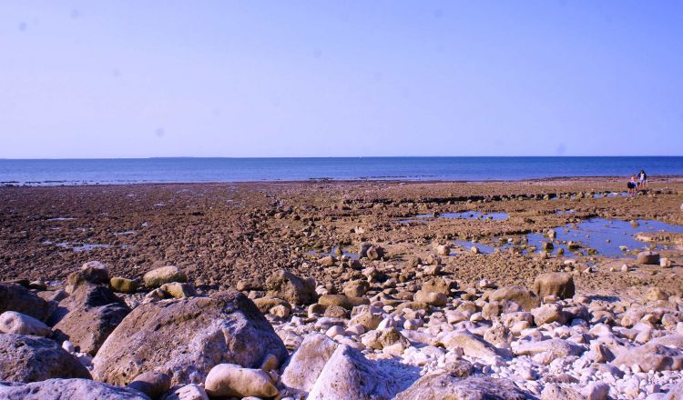 Wallpapers Nature Seas - Oceans - Beaches La Rochelle 