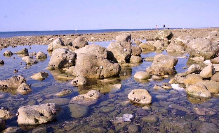 Wallpapers Nature Seas - Oceans - Beaches La Rochelle 