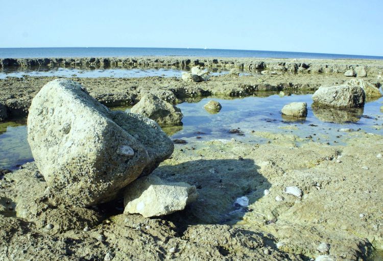 Fonds d'cran Nature Mers - Ocans - Plages La Rochelle 