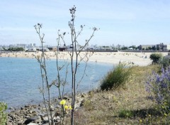  Nature La Rochelle 