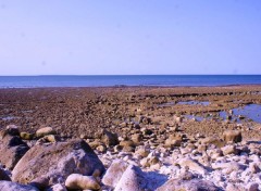  Nature La Rochelle 