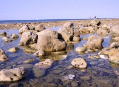  Nature La Rochelle 