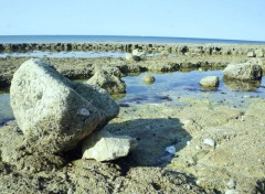  Nature La Rochelle 