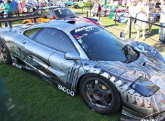  Voitures MC LAREN F1 GTR