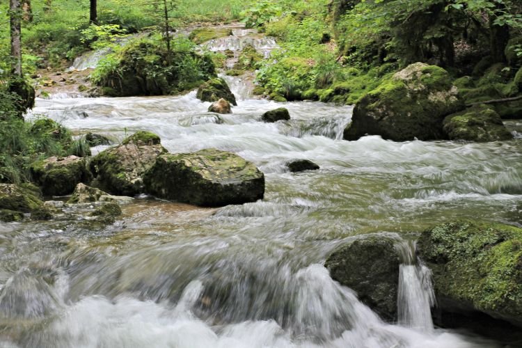 Fonds d'cran Nature Fleuves - Rivires - Torrents cascades du hrisson (jura)