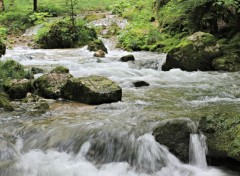  Nature cascades du hrisson (jura)