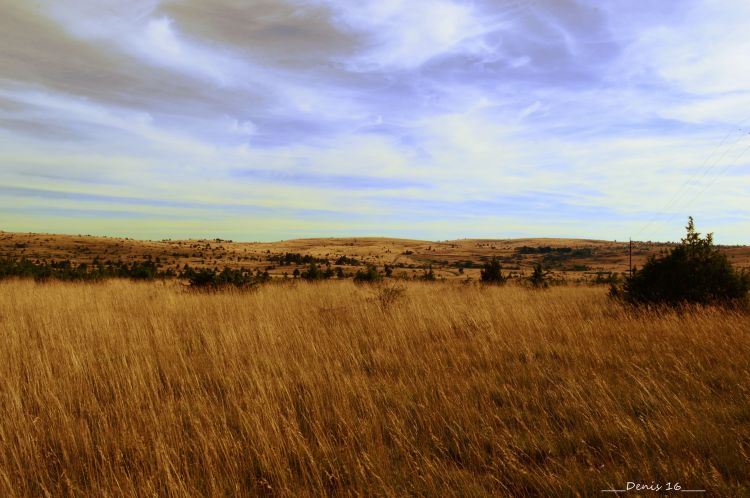 Fonds d'cran Nature Champs - Prairies GORGES DU TARN