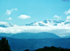  Nature Entre ciel et terre...