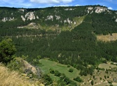  Nature GORGES DU TARN