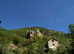  Nature GORGES DU TARN