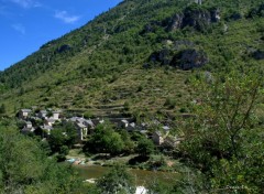  Nature GORGES DU TARN