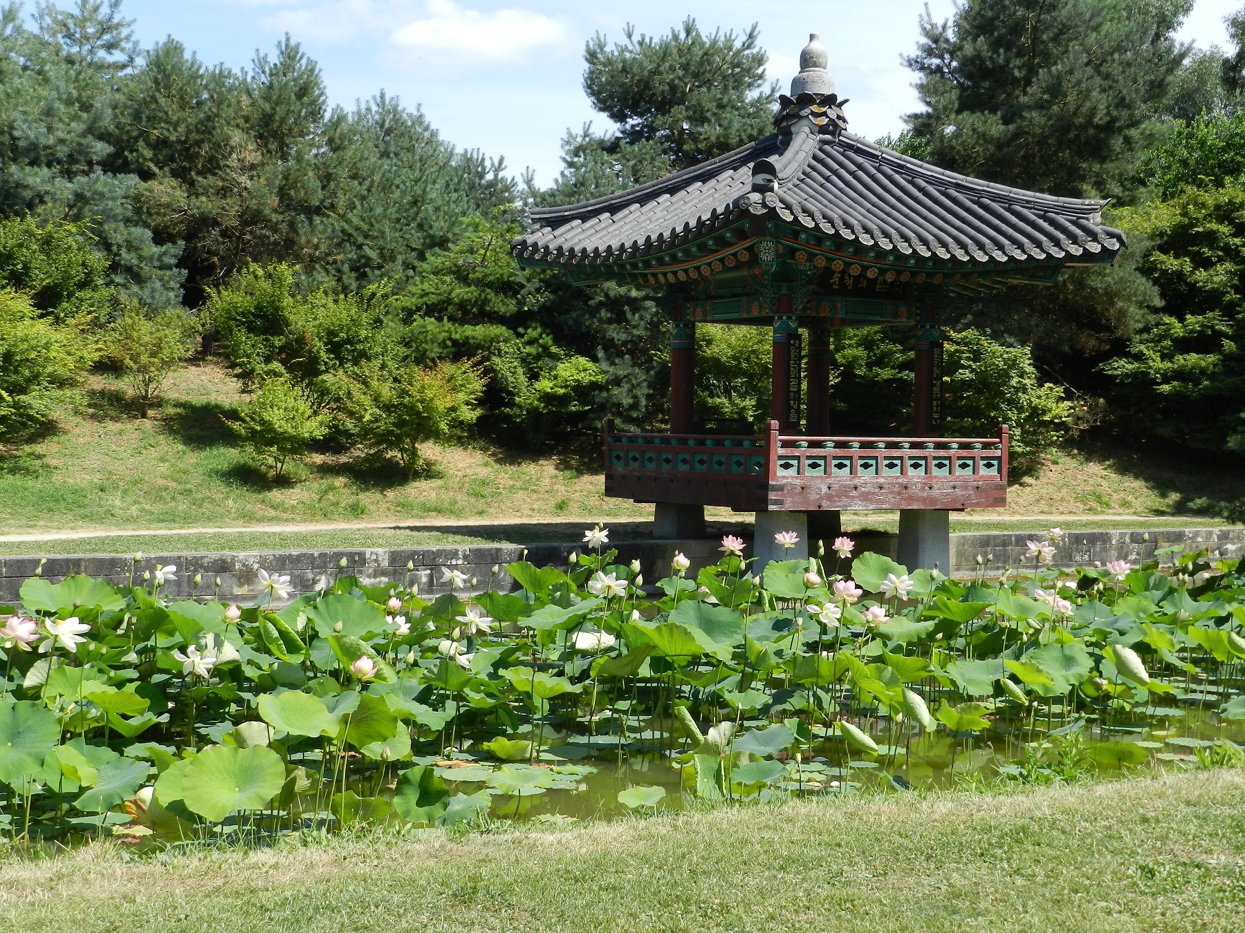 Fonds d'cran Nature Parcs - Jardins 