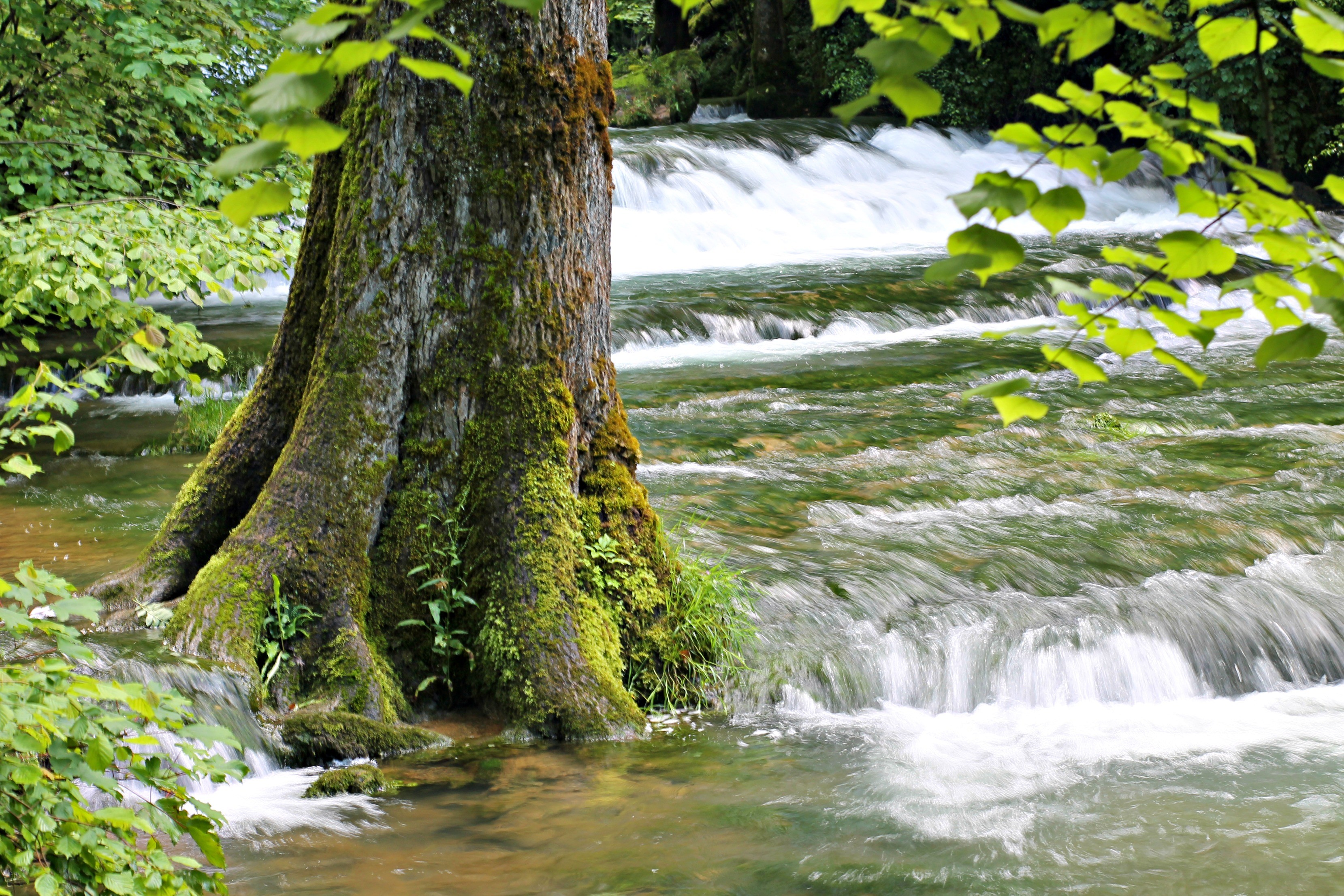 Wallpapers Nature Rivers - Torrents 