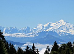  Nature le  massif du mont blanc