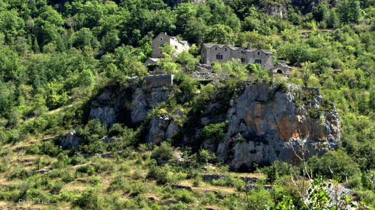 Fonds d'cran Nature Paysages GORGES DU TARN