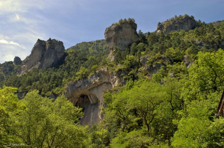 Fonds d'cran Nature Gorges GORGES DU TARN