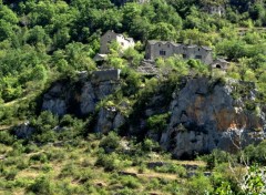  Nature GORGES DU TARN