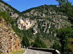  Nature GORGES DU TARN