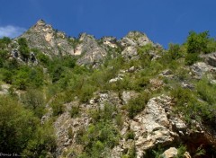  Nature GORGES DU TARN