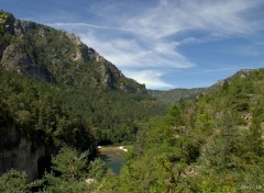  Nature GORGES DU TARN