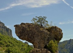  Nature GORGES DU TARN