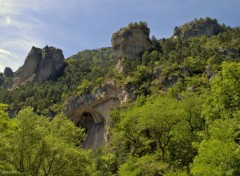  Nature GORGES DU TARN