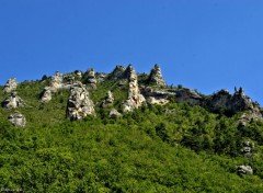  Nature GORGES DU TARN