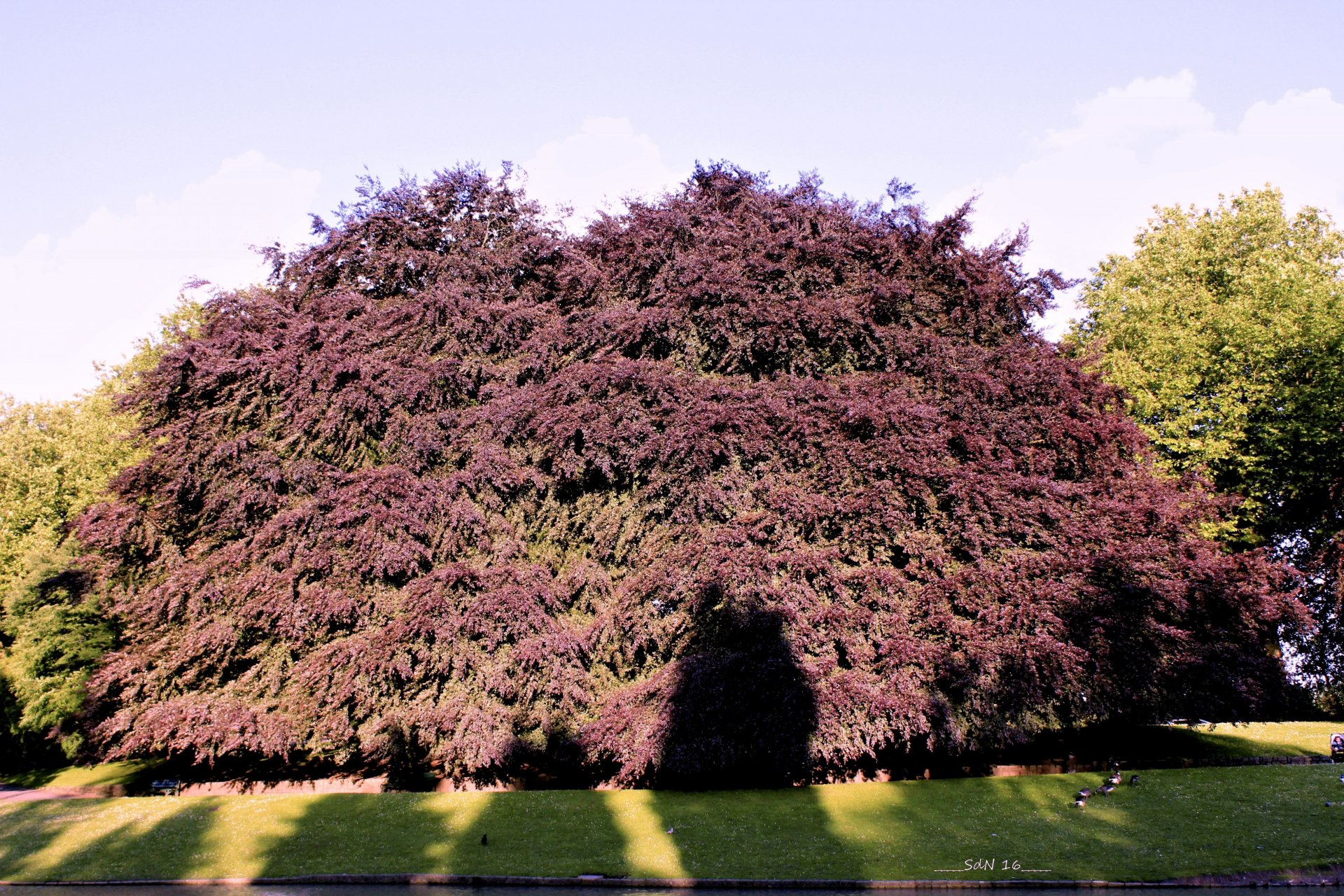 Wallpapers Nature Parks - Gardens PARC BARBIEUX 2016