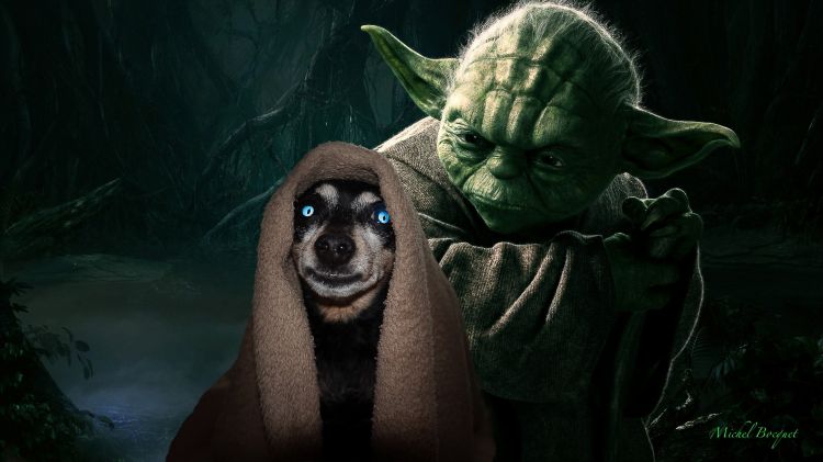 Wallpapers Humor Parodies Obi one Kelumpie