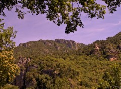  Nature GORGES DU TARN