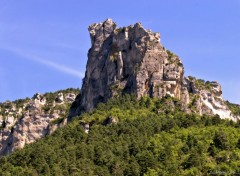  Nature GORGES DU TARN