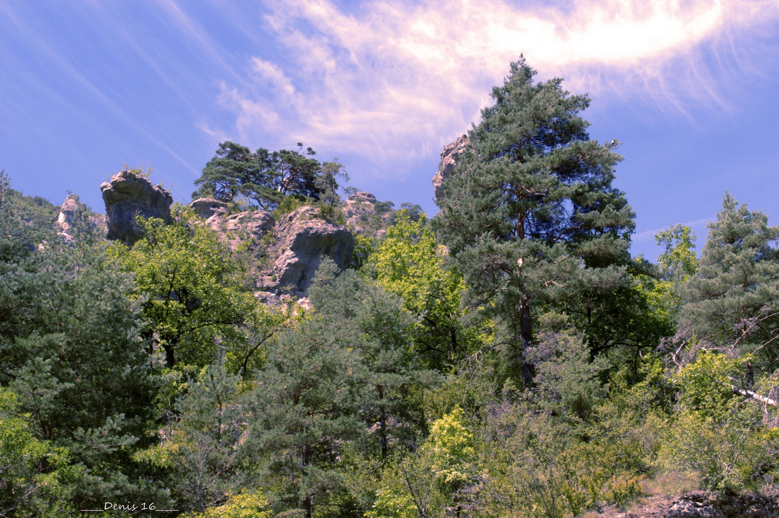 Wallpapers Nature Canyons GORGES DU TARN