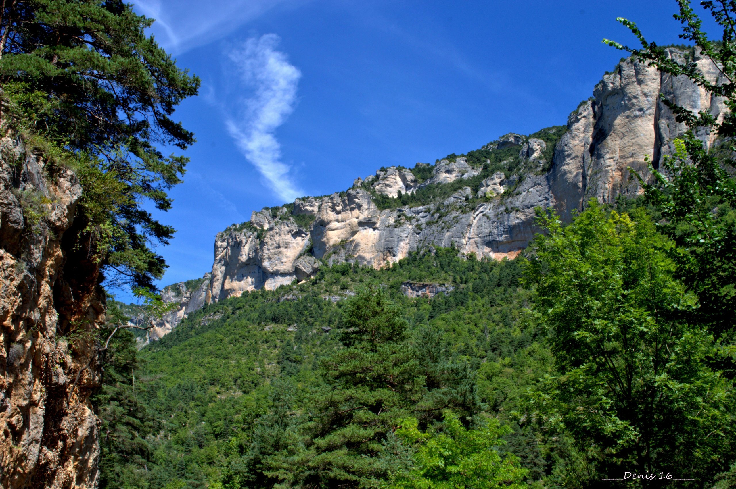 Fonds d'cran Nature Gorges GORGES DU TARN