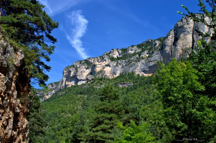 Fonds d'cran Nature Gorges GORGES DU TARN