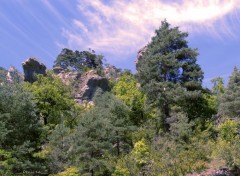  Nature GORGES DU TARN