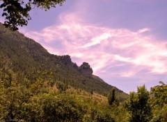  Nature GORGES DU TARN