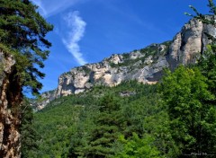  Nature GORGES DU TARN