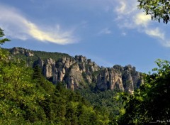  Nature GORGES DU TARN