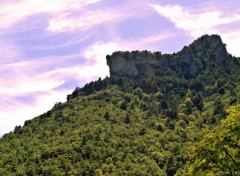  Nature GORGES DU TARN