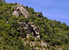  Nature GORGES DU TARN