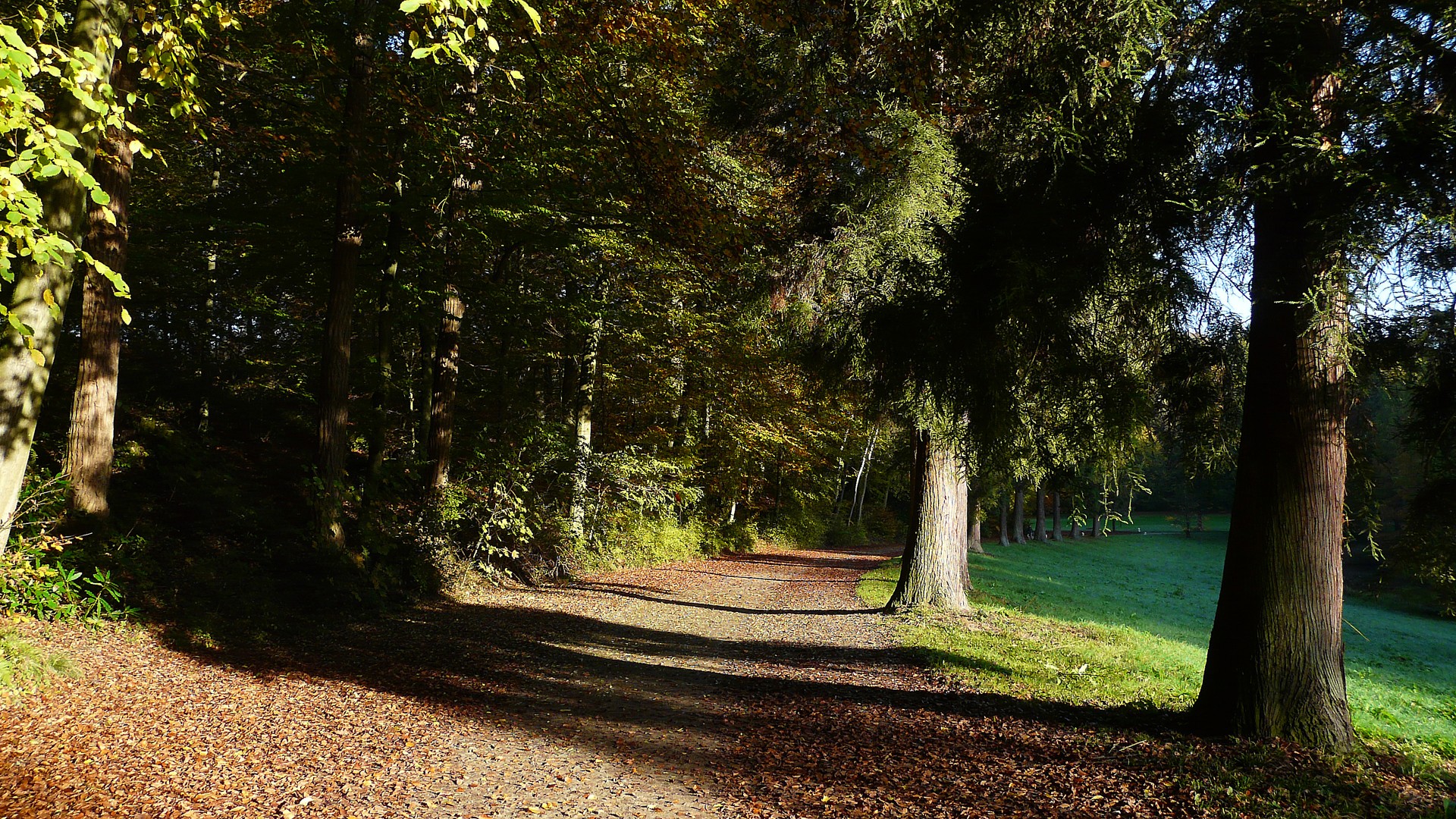 Fonds d'cran Nature Saisons - Automne Ambiance automnale à La Hulpe (Belgique)