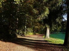  Nature Ambiance automnale à La Hulpe (Belgique)