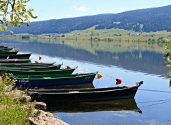  Nature lac des rousses